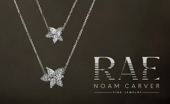 RAE Noam Carver Necklaces